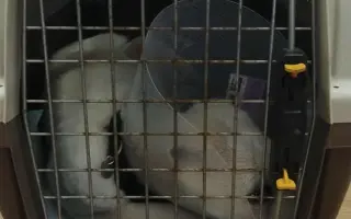 Pomoc pro bojovníčka Ferdu