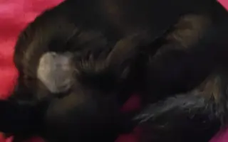 Nelinka bojuje s epilepsií a srdeční vadou
