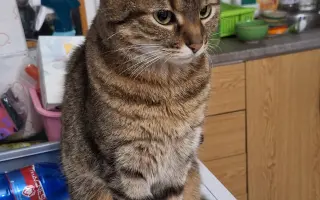 9 nalezených Lásek