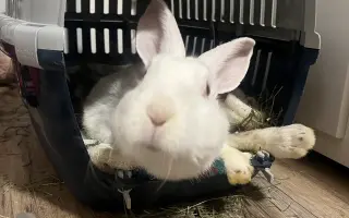 Pomůžete Arymu zachránit život?