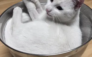 Pomohli jste Eliotkovi v boji s FIP