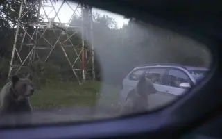 Z nuly zpět za hledáček - aneb nový začátek po velkém pádu