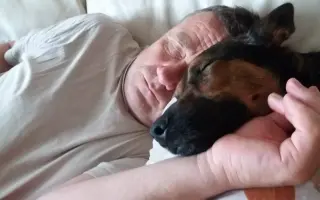 Pomohli jste Šakimu znovu chodit