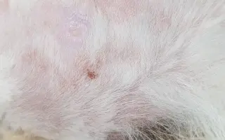 9 nalezených Lásek