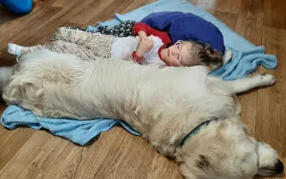 Rozhýbejme Josefínku