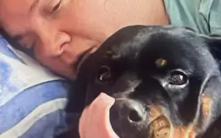 Pomozme Lucce překonat těžké období