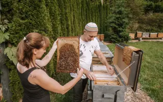 Honey by Veterans - druhý život pro válečné veterány