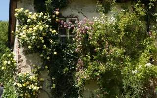 Pomozte roztočit vodní kolo pro Dašovský mlýn, patron Petr Bende