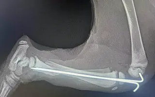 Proměňme společně kočičí svět v lepší místo 🐈