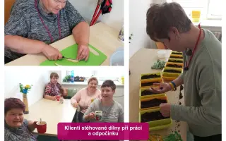 VINICE pod jednou střechou – pomozte vybudovat novou dílnu pro lidi s postižením