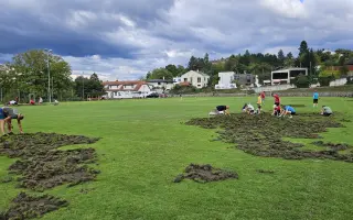 Oplocení fotbalového hřiště proti divokým prasatům
