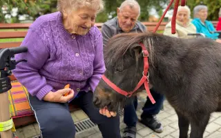 Pomozme třem statečným poníkům ke zdraví, které si sami vyběhat nemohou