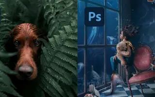 Podpořte naši společnou cestu