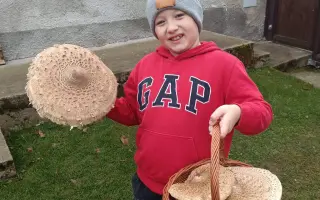 Pomoc pro Nikyho a Dennise: terapie, které jim mohou změnit život