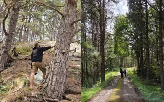 ŽIJ - Inspirující debutová básnická sbírka Richarda Žiláka
