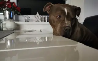 Pomozme Ele opět poznávat svět