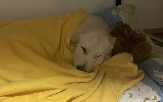 Pomozte nám zachránit Bezinku