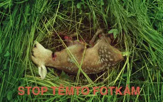 Pomoc srnčatům před smrtí pod sekačkami