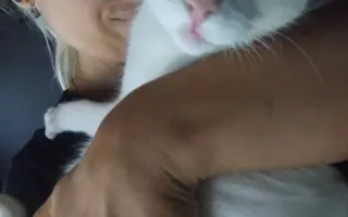 Pomoc Mimi-Míně porazit smrtelnou nemoc