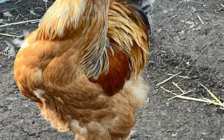 Pomozme společně obnovit zničenou farmu a živobytí farmáře Vládi!