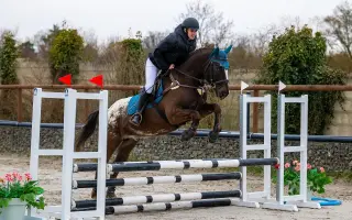 Rozjeďme Creativ Horse Training: Místo, kde děti a koně mluví stejným jazykem