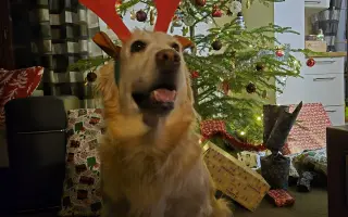 Za každé další ráno s Daisy 🐾
