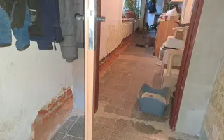 Postavme společně útulek pro kočky a psy