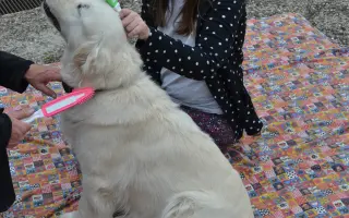 Pomoc pro Petru s autismem