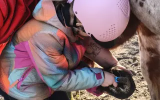 Pomozme zachovat Dvůr poslední šance