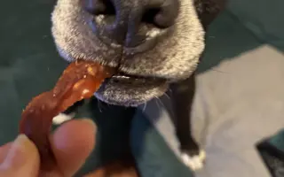 Pomoc pro staffíka Marleyho