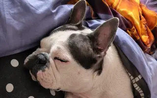 Zachráňte Marilyn bojující s rakovinou