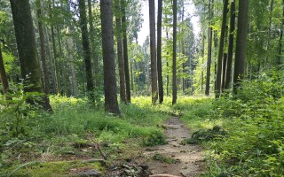 ZACHRAŇME SINGLETRAIL MORAVSKÝ KRAS JEDOVNICE