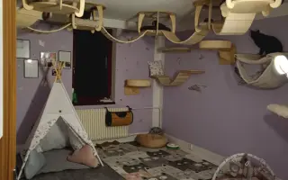 Bude zvířecí útulek Destiny Pet naplno fungovat i v roce 2026?