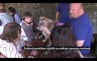 Canisterapie CANTES v krajích ČR jako sociální rehabilitace