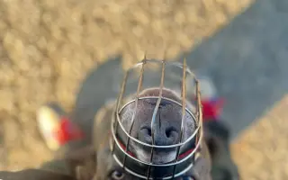 Očkování proti psincovému kašli