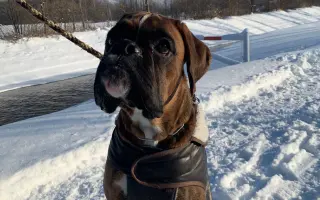 Pomozte Baronovi vyhrát boj s rakovinou