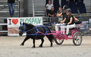 Poník Honzík potřebuje pomoci