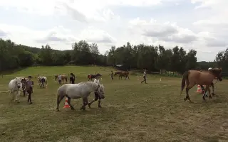 Podpořte koňácký kroužek pro děti a mládež