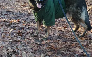 Léčba, která nekončí - Fůrie