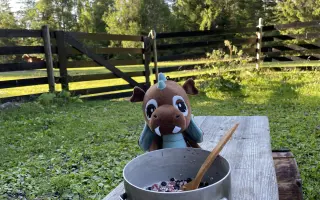 Vydejte se mnou knihu Hledání domova na stezce svatého Olafa