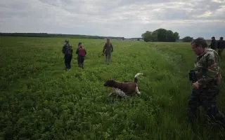 Dron na záchranu srnčat
