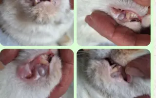 9 nalezených Lásek