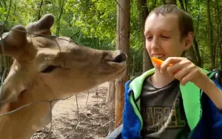 Lehký vozík pro syna Ondřeje, abychom  mohli zůstat v pohybu.