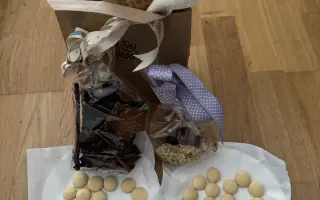 Pomozme Welle po nálezech rakoviny vidět, Daře k pohybu a Willymu ke zdraví