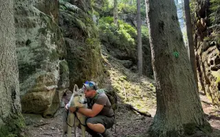 Zachraňme Degase: Vlčák s velkým srdcem bojuje s krutou nemocí