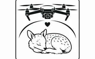 Zachraňme srnčata a zraněná zvířata na Strakonicku – potřebujeme dron
