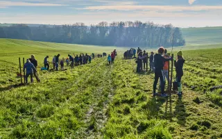 Zanechte stopu v pálavské krajině