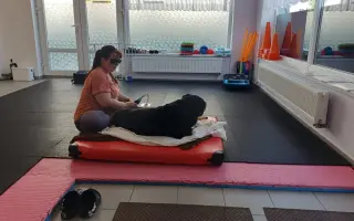 Mladou fenku srazil vlak, pomožme jí k pohybu rehabilitací.