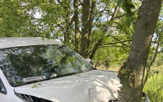 Útulek přišel o auto na převozy a výjezdy