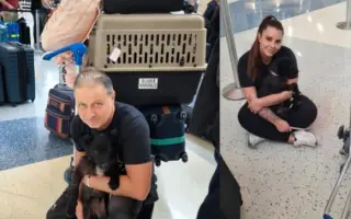 Ari přežila poušť. Teď ji ničí bolest...